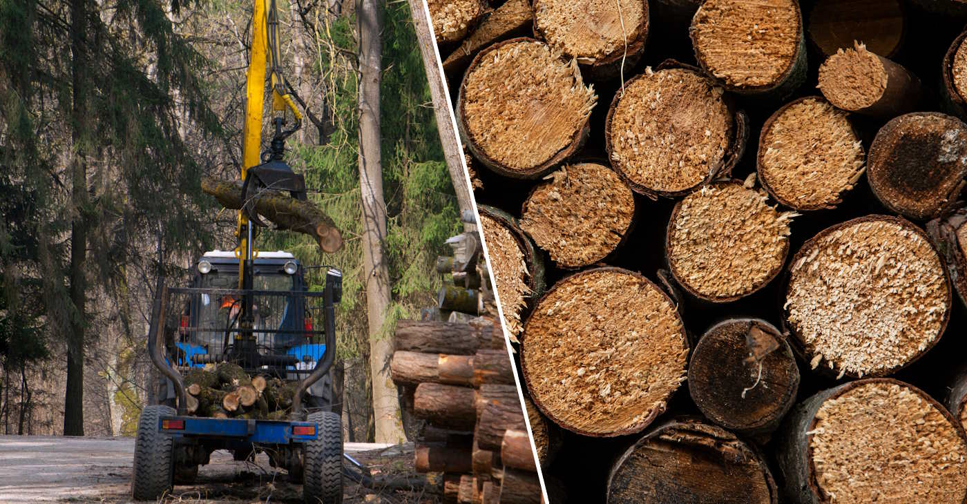 timber trailer with crane